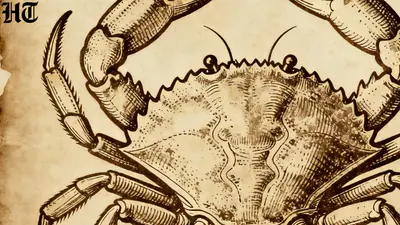 Cancer horoscope 1769626840254 1769626840926