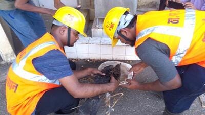 LOW RES PIC FILE PHOTO Thane India March 6 2 1768937027254