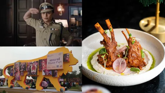 सप्ताहांत प्लानर (जनवरी 31-फरवरी 1): दिल्ली-एनसीआर निवासियों, आपको इसे अवश्य देखना चाहिए!