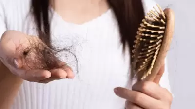 yolo 1734441916303 1768831178832