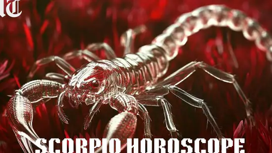 फरवरी 2026 के लिए वृश्चिक मासिक राशिफल: यह आपकी छोटी-छोटी उपलब्धियों का जश्न मनाने का समय है