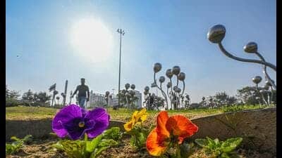 The IMD said clear skies and the absence of a west 1771783306436