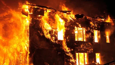 pexels photo 11688878 1770703528147 1770703536892