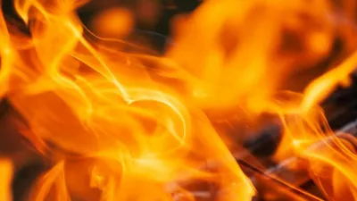 photo 1543005472 1b1d37fa4eae 1767310744869 1767310759873 1771223119506