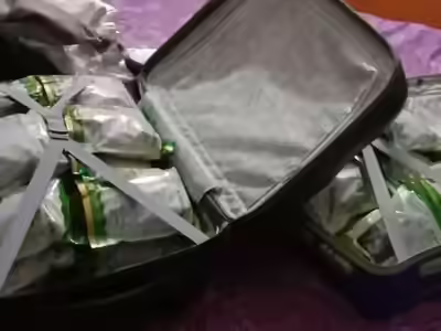 सरीसृप तस्करी रैकेट का सरगना कानपुर में गिरफ्तार | भारत समाचार