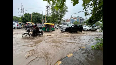 Civic body targets 71km across key sectors draina 1774493200737