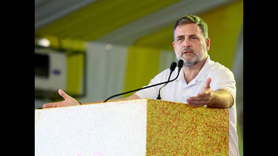 The Opposition Leader in the Lok Sabha said that t 1774469432452