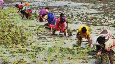 Women farmers working in the fields in Patna on Tu 1770140525169 1772953112670