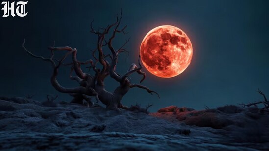 blood moon eclipse 1772446055634 1772446062125