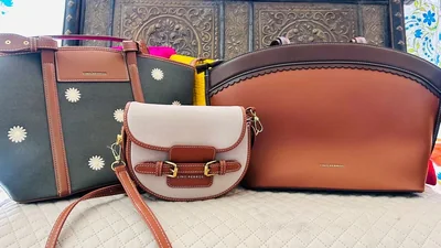 lino perros 1772783160738 1772783161057