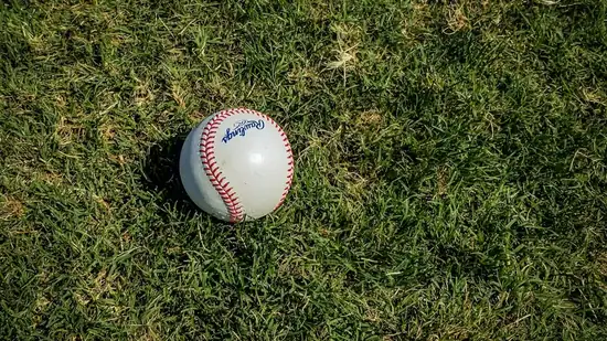 photo 1582650448629 3c854f356544 1774453572538 1774453588523