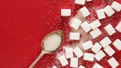 photo 1685967836908 7d3b4921a670 1763535368246 1763535377582 1773482976649