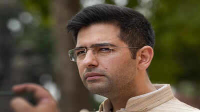 1777295674 raghav chadha