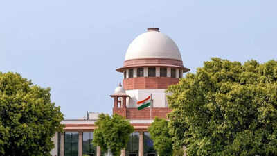 सबरीमाला मामला: ‘अराजकता नहीं हो सकती’: SC ने सबरीमाला मामले की सुनवाई की, धार्मिक संस्थानों में झंडे की जरूरत | भारत समाचार