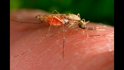 As per the norms districts are required to send 1 1777316339720