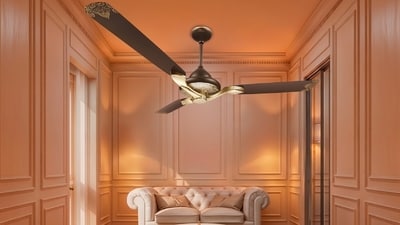 Ceiling fans for living room 1777368331315 1777368339269