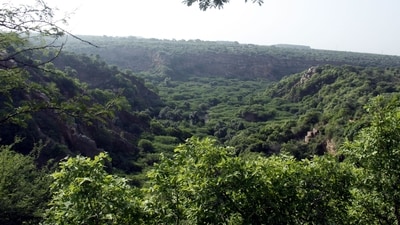 Compensatory afforestation is a means to offset th 1687979840053 1777433812839