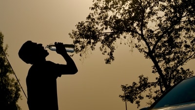 Heat Wave 3 1777374133819 1777374145359