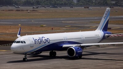INDIGO CEO 1 1775551595041 1775551604757