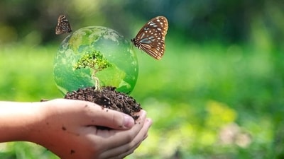 The Green Concept works in applied ecology carbon 1725043999263 1777032639565
