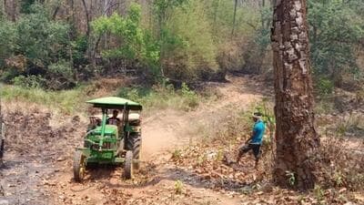 The initiative comes after security forces and the 1777441817098