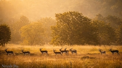 WhatsApp 1777223804470 1777223804682