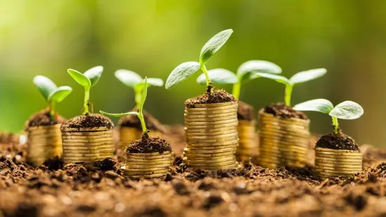 WhatsApp Image 2022 02 03 at 181010 1 1775851952854 1775851952994