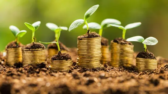 WhatsApp Image 2022 02 03 at 181010 1 1776205743783 1776205743925