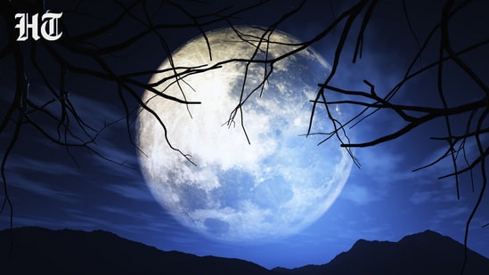 full moon may 1 2026 1777499267729 1777499275563