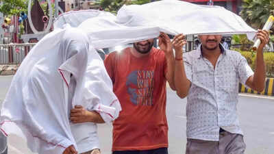 heat wave alert imd warns 3 more days of 40c temperatures in delhi up rajasthan