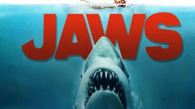 jaws1 1749520938340 1775807221498