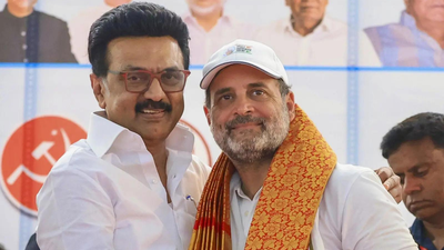 mk stalin with rahul gandhi file photo