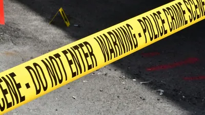 pexels photo 18527688 1775965526541 1775965536230 1776568825945