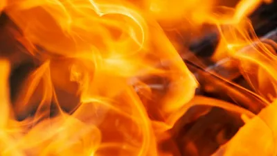 photo 1543005472 1b1d37fa4eae 1775678081111 1775678096153