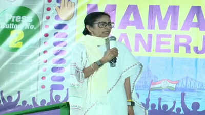 quotbengal is mini india i don39t divide like bjpquot mamata banerjee in bhabanipur