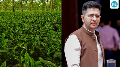 raghav chadha west bengal election tea garden 1776848900820 1776848917104