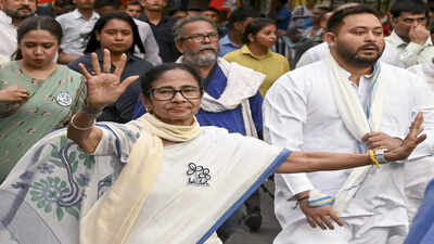 wb polls mamata banerjee holds roadshow in kolkata