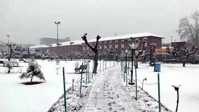 कश्मीर, हिमाचल और उत्तराखंड में बर्फबारी, बारिश से पारा लुढ़का | भारत समाचार