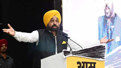 ‘यह पंजाब है, धमकियों से नहीं डरता’: मंत्री पर ईडी की छापेमारी के बाद भगवंत मान | भारत समाचार