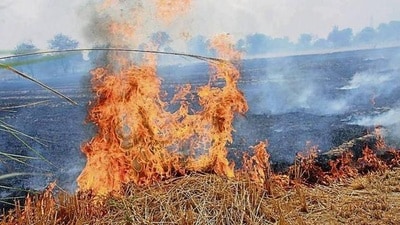 Around 900 straw related blazes were reported betw 1777659070657