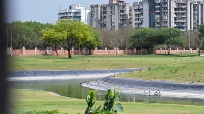 Golf Course 15 1777599085751 1777599101377