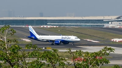 Indigo 3 1774951126346 1774951137207 1778155508506