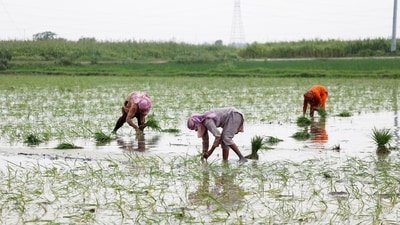 PAKISTAN SOLAR WATERTABLE 3 1759395793676 1759395809859 1778087137153