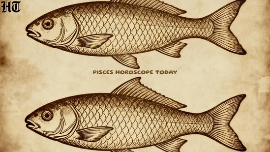 Pisces 1762203732526 1762203738548 1777576720382