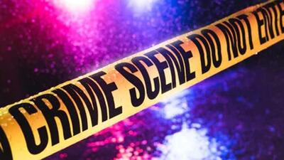 यूपी के फिरोजाबाद में जिपलाइन से गिरकर 16 वर्षीय लड़के की मौत: पुलिस
