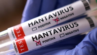 REUTERS HANTAVIRUS 1778209179925 1778209184472 1778500627282