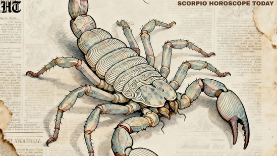 Scorpio 1762282761252 1762282767855 1779381009174 ee39ee8c a8e5 4c1e b62a 0179de7e6e1c