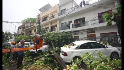 Thousands in Mohali were without power as heavy da 1777838805336