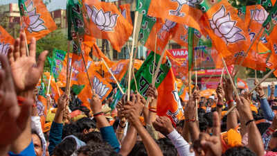 विधानसभा चुनाव 2026: फैला भगवा, नए रंग की बौछार – कैसे बदल गया भारत का सत्ता मानचित्र | भारत समाचार