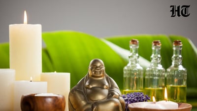brutal feng shui habits 1777574315041 1777574322134